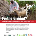 2013_07_19_Fertile_Ground_FSPG-thumbnail