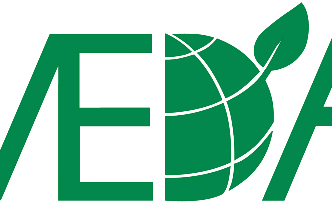 MEDA Logo Green 186041b582