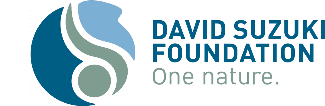 pngfind.com-suzuki-logo-png-6613014