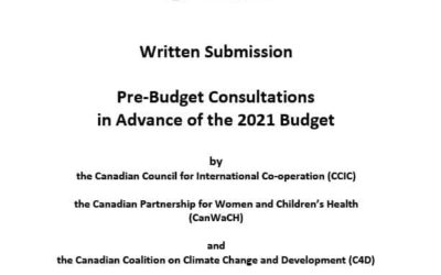 Consultations prébudgétaires – budget de 2021