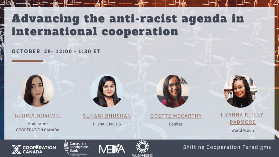 Advancing the anti-racist agenda in international cooperation
