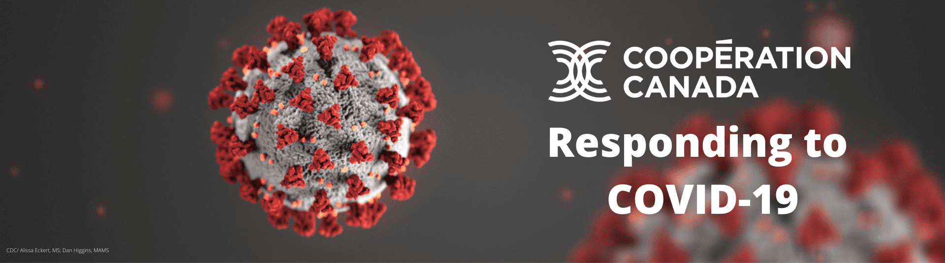 Coronavirus (Covid-19) support (5)