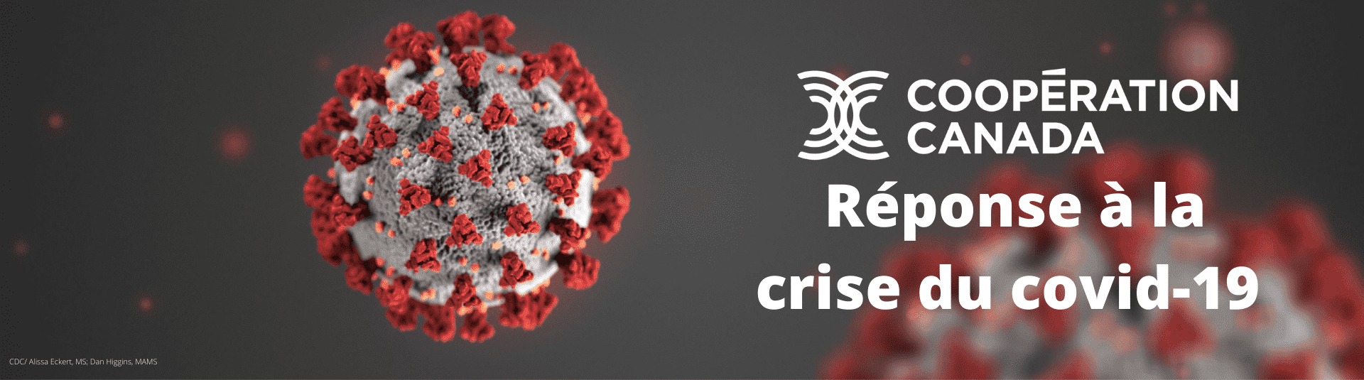 Soutien Coronavirus (Covid-19) (2)
