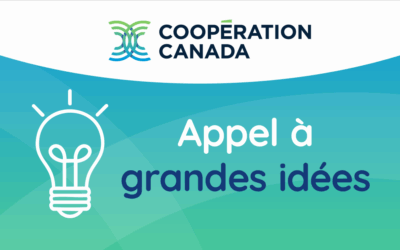 Appel à grandes idées : Façonner l’avenir de la coopération internationale