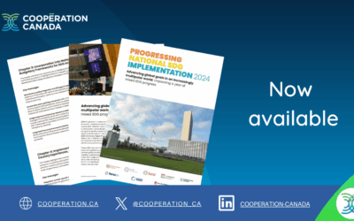 Advancing Global Goals in a Fractured World: A reaction to the Ninth Progressing SDG Implementation Report